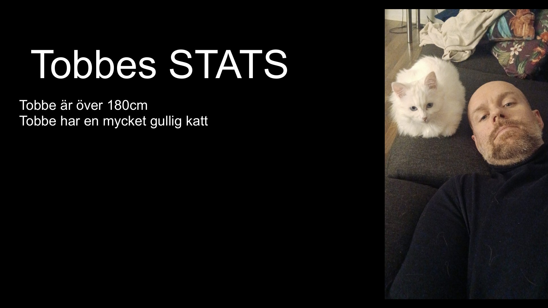 Slide 7 från pitchen om Tobbe