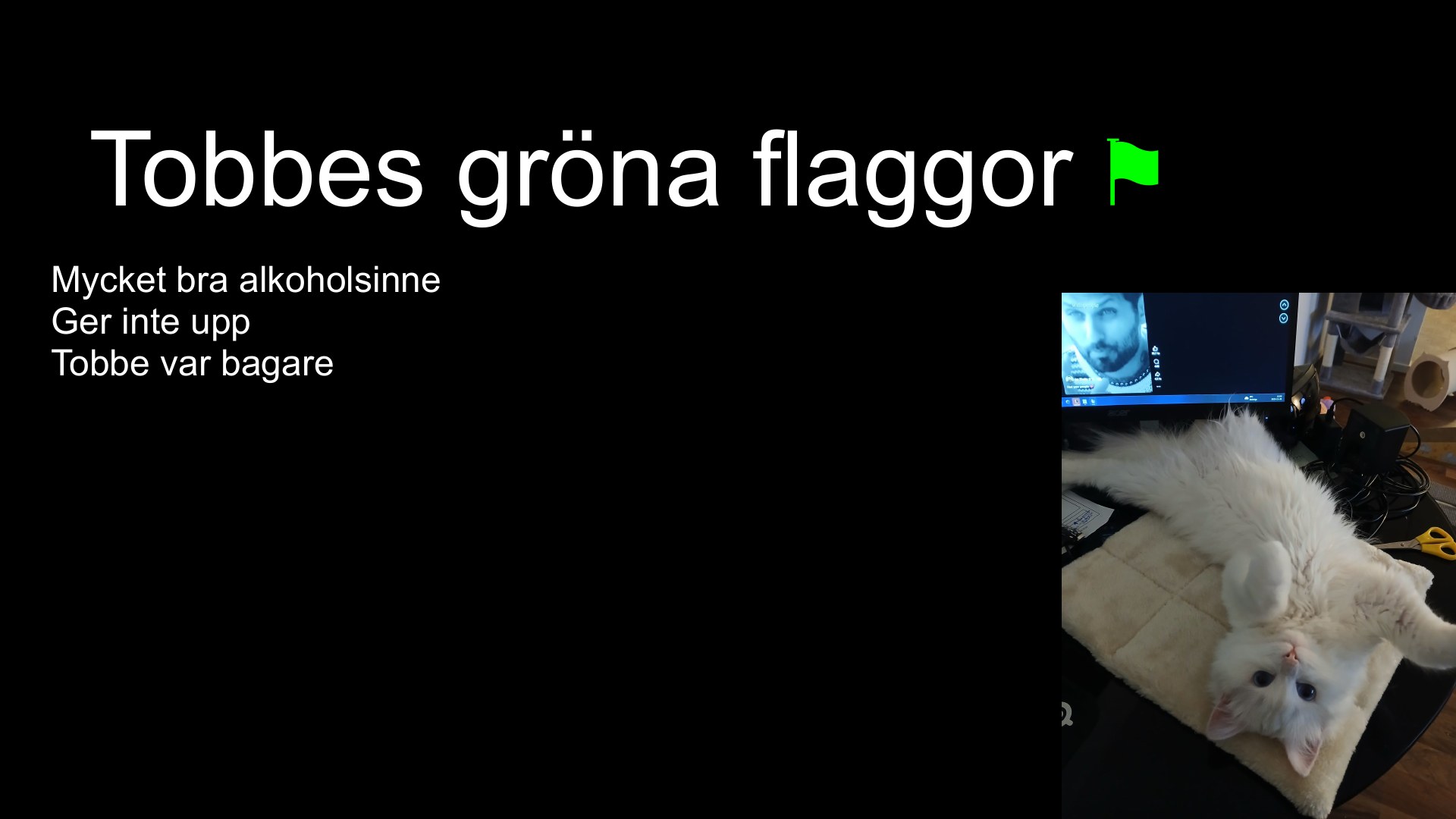 Slide 13 från pitchen om Tobbe
