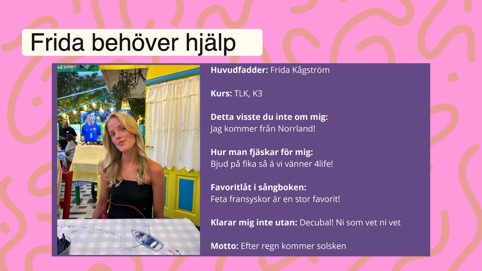 Frida Kågströms pitch, bild 3