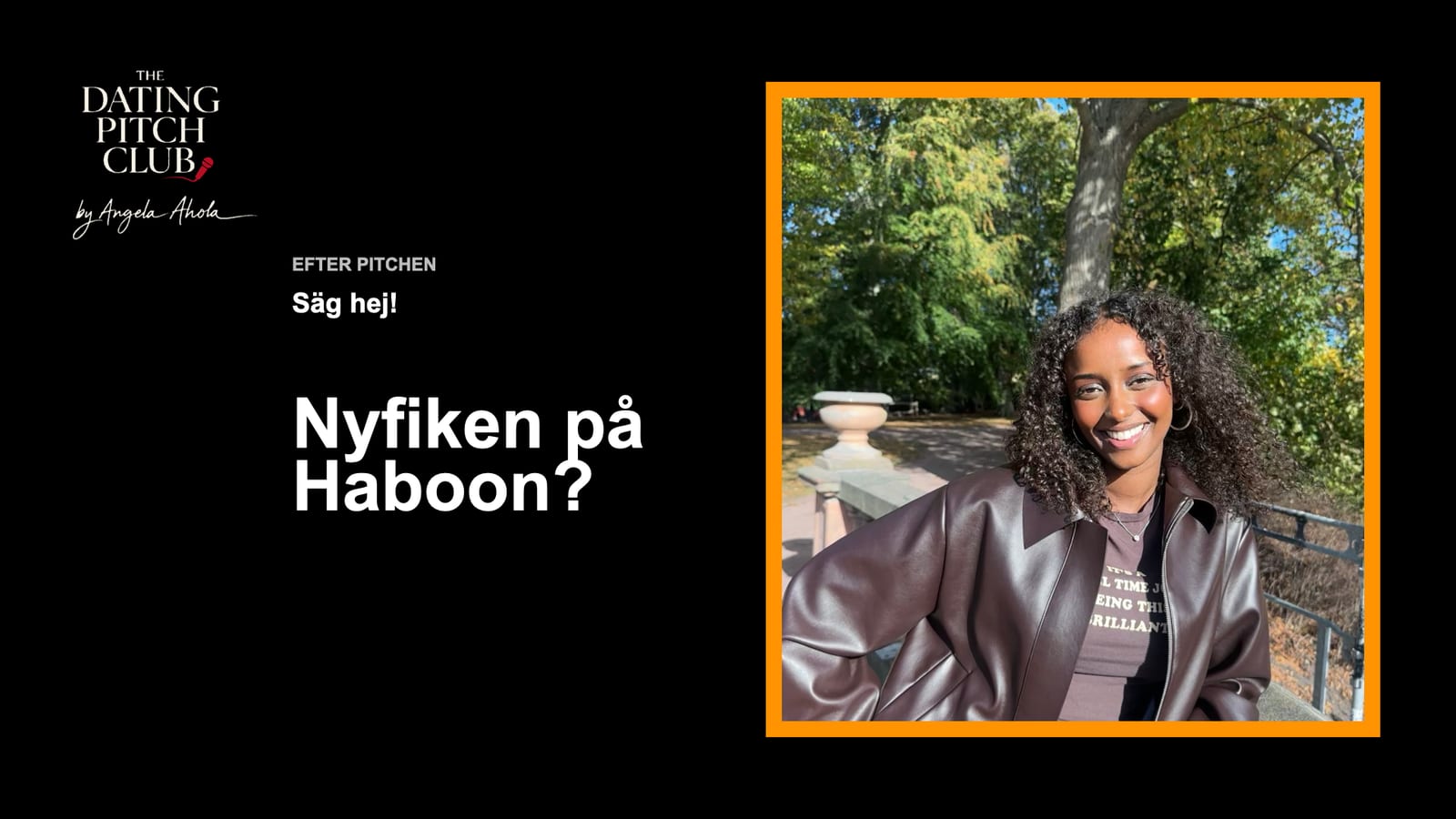 Haboon Mohameds pitch, bild 3