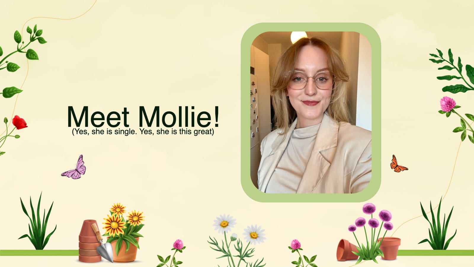 Mollie Sagers pitch, bild 2