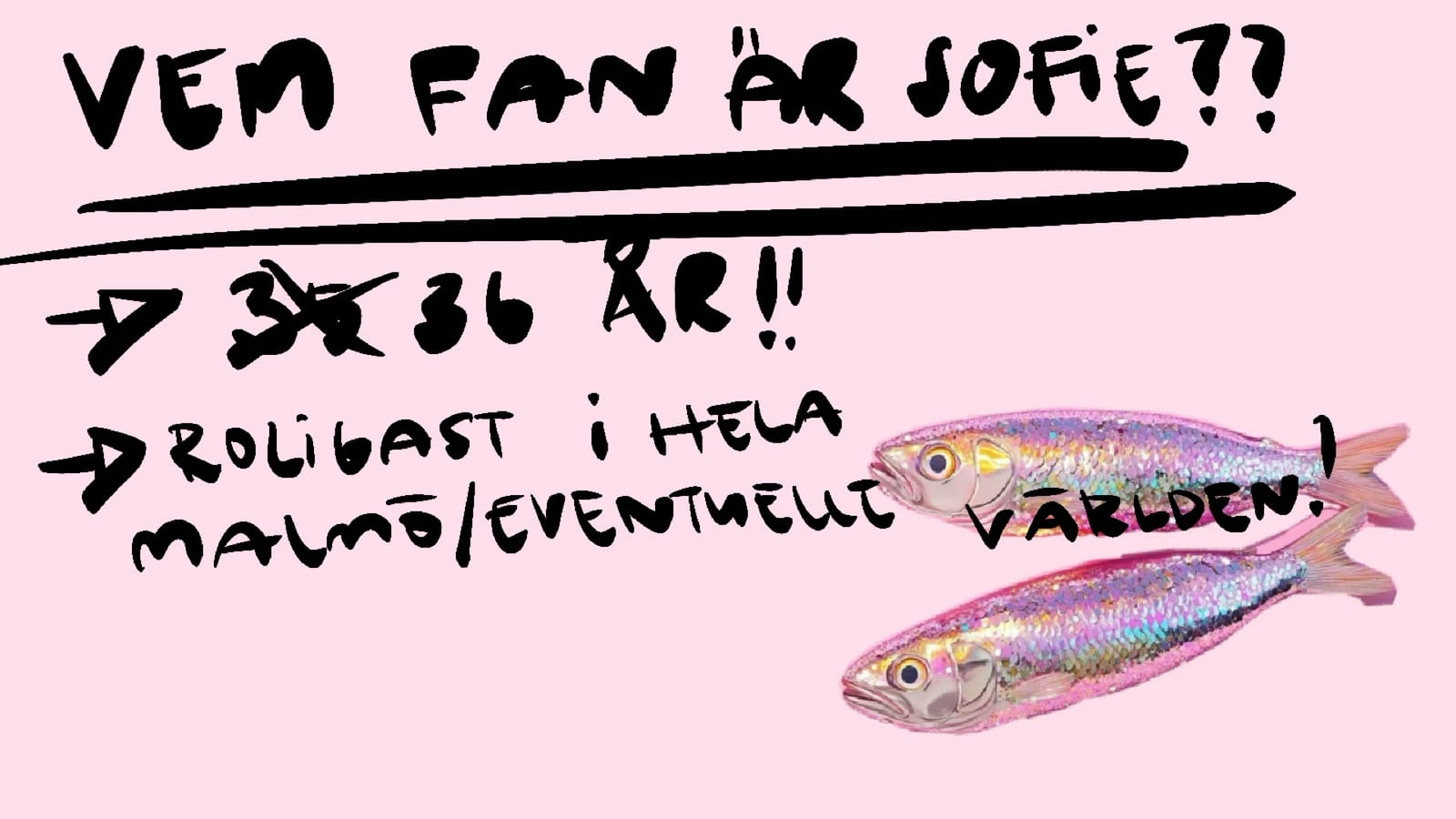 Sofies pitch, bild 12