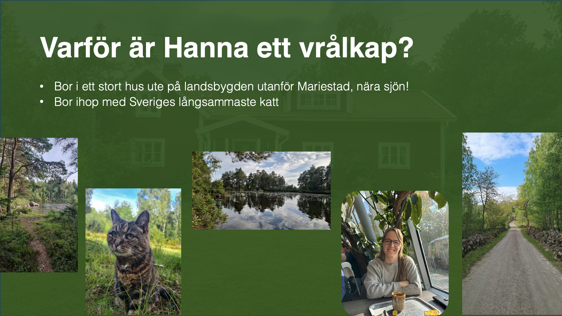 Hannas pitch, bild 3